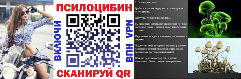 продажа наркотиков Химки Псилоцибиновые грибы Cubensis
